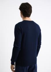 Men's Sweater SWEMT-0110-69(W22)-03