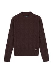 Chocolate women's sweater with decorative weave SWEDT-0210-90(Z25), front product view on white background.