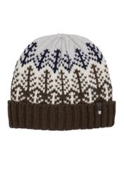Men's winter hat CZAMT-0096-8P(Z26), front view on a white background.