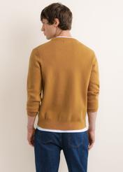 Men's mustard sweater SWEMT-0217-2D(Z26), back view of the product on the model. Half of the silhouette visible.