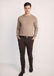 Camel cotton men's sweater SWEMT-0114A-24(Z25), product visible from the front on the model, the entire silhouette is visible.