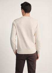 Beige men's sweater with logo SWEMT-0159A-80(Z25) - product view from the back on the model on a white background. Visible silhouette to the knees.