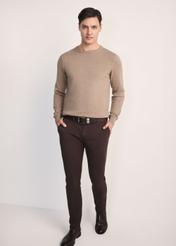 Camel cotton men's sweater SWEMT-0114A-24(Z25), product visible from the front on the model, the entire silhouette is visible.