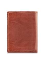 Men's wallet SL-145-87-02