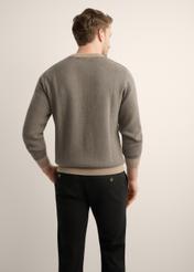 Men's dark beige patterned sweater SWEMT-0195-1D(Z26), back view of the product on the model. Half of the silhouette visible.