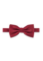Men's burgundy bow tie MUCMT-0006-49(Z25)