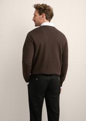 Men's brown cotton sweater SWEMT-0114A-1I(Z26), back view of the product on the model. Half of the silhouette visible.