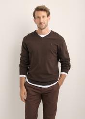 Dark brown men's sweater with logo SWEMT-0159A-1I(Z26), front view of the product on the model. Half of the silhouette visible.