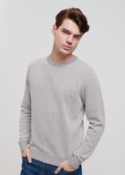 Grey cotton men's sweater SWEMT-0142-91(W24)-05