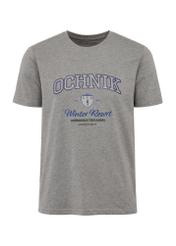 Gray men's t-shirt with print TSHMT-0111-91(Z24)-01