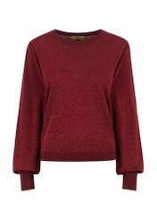 Maroon shiny sweater for women SWEDT-0182-49(Z23)-04