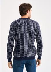 Men's Sweater SWEMT-0117-69(Z22)-03