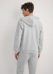 Men's gray hooded sweatshirt BLZMT-0079-9A(W26), back view of the product on the model. Half of the silhouette visible.