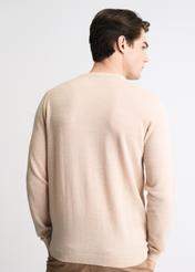 Sweter męski SWEMT-0112-81(W22)-03