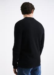 Sweter męski SWEMT-0109-99(W22)-04