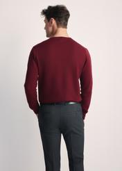Burgundy men's sweater with logo SWEMT-0159A-49(Z25), product view from the back on the model. Half of the silhouette visible.