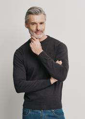 Men's graphite cotton sweater SWEMT-0143-95(W24)-01