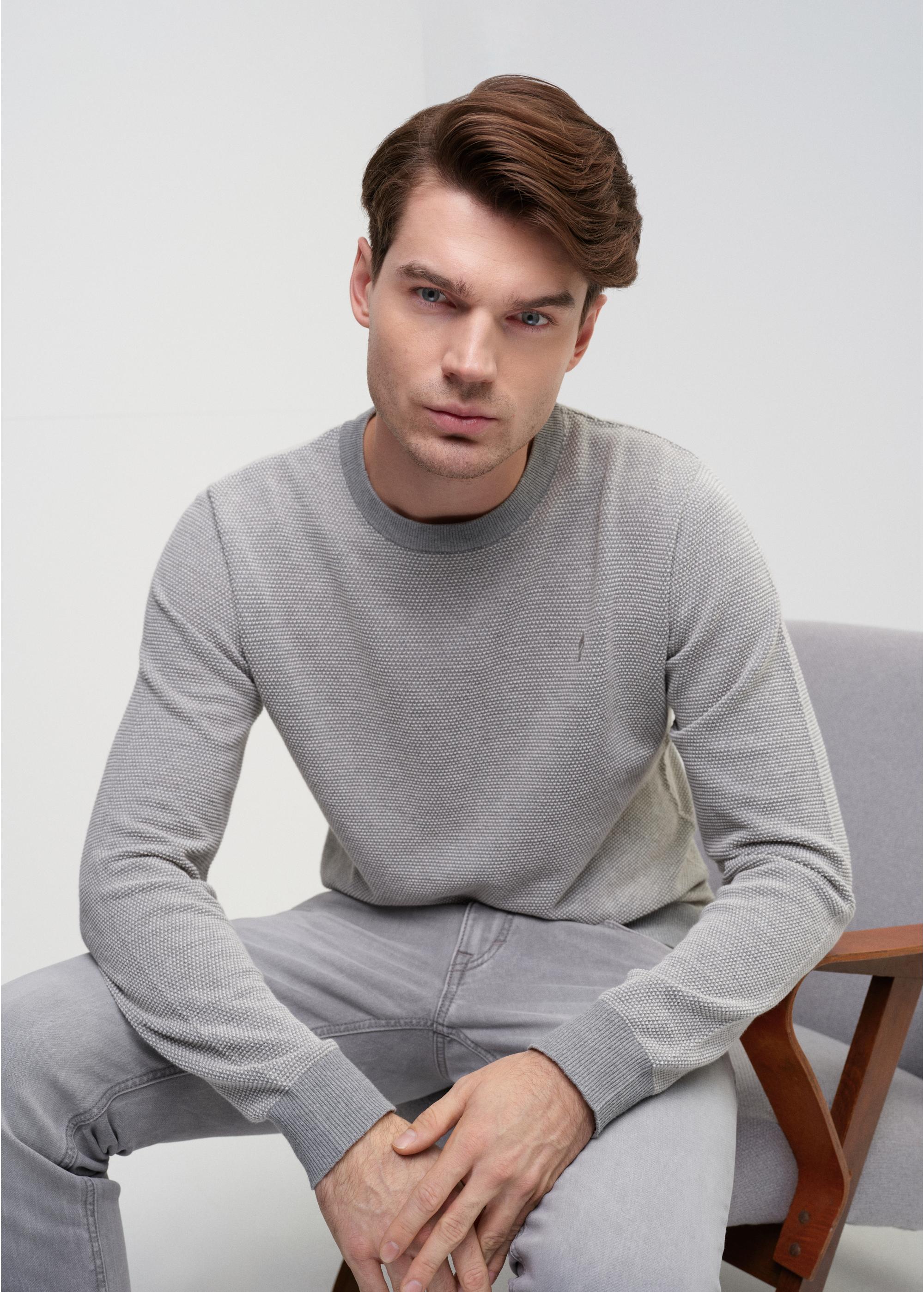 Grey cotton men's sweater SWEMT-0142-91(W24)-02