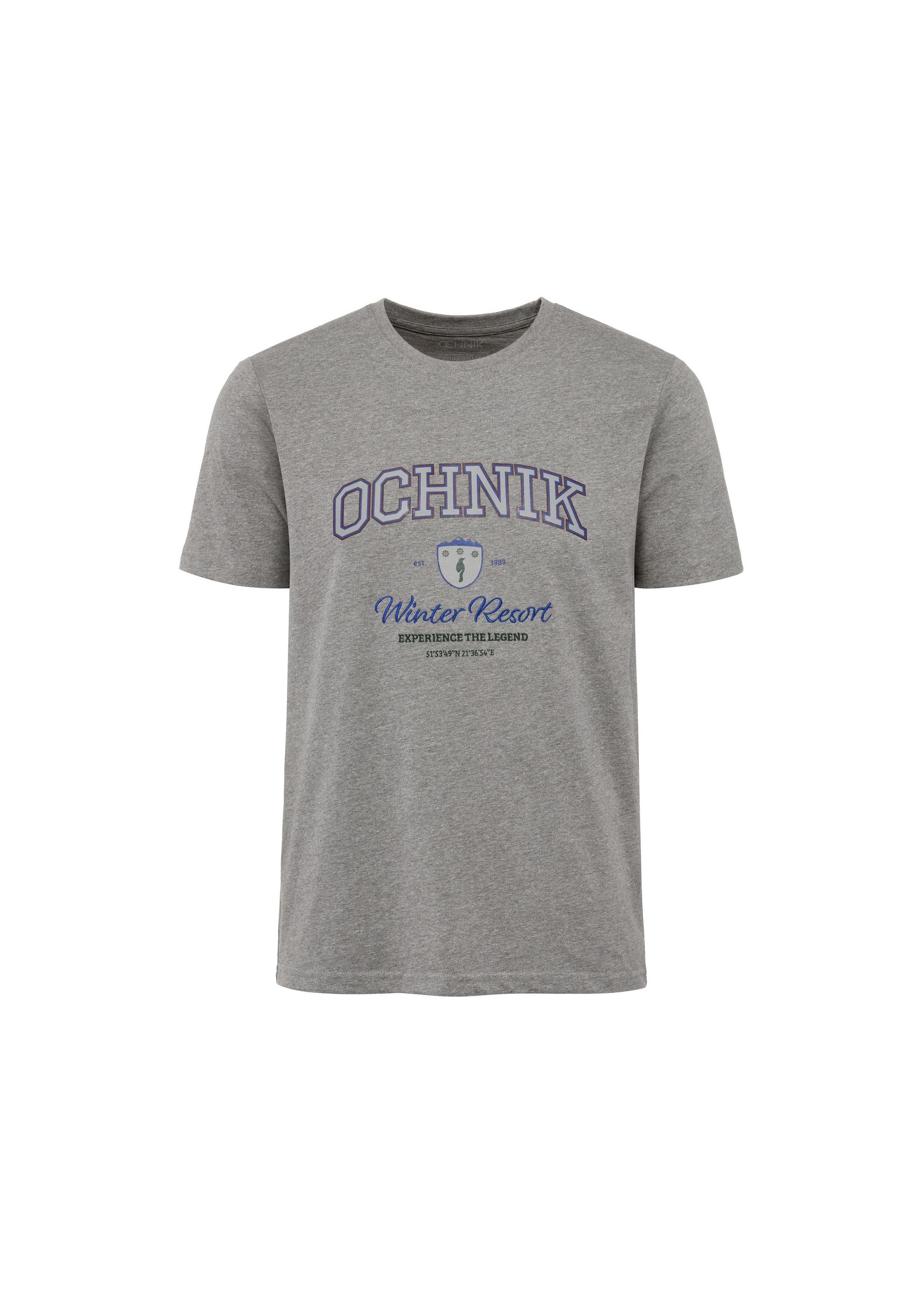 Gray men's t-shirt with print TSHMT-0111-91(Z24)-01