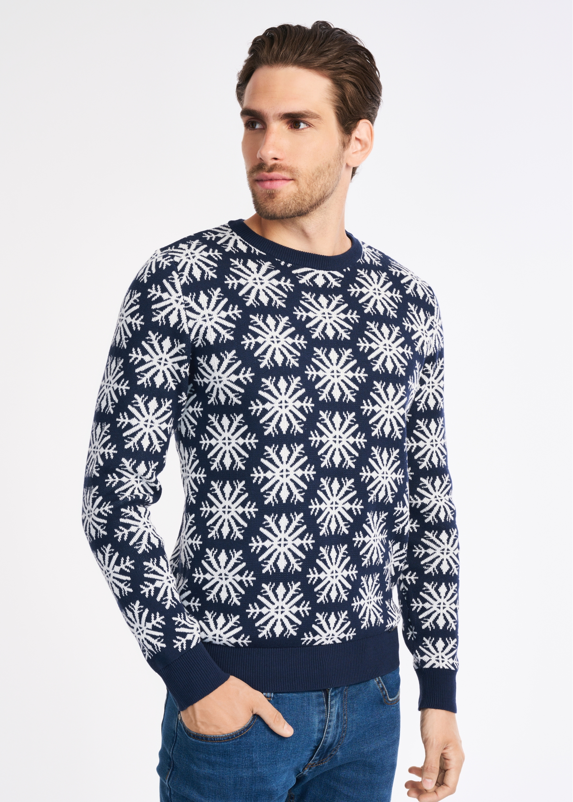 Men's Sweater SWEMT-0125-69(Z22)-01