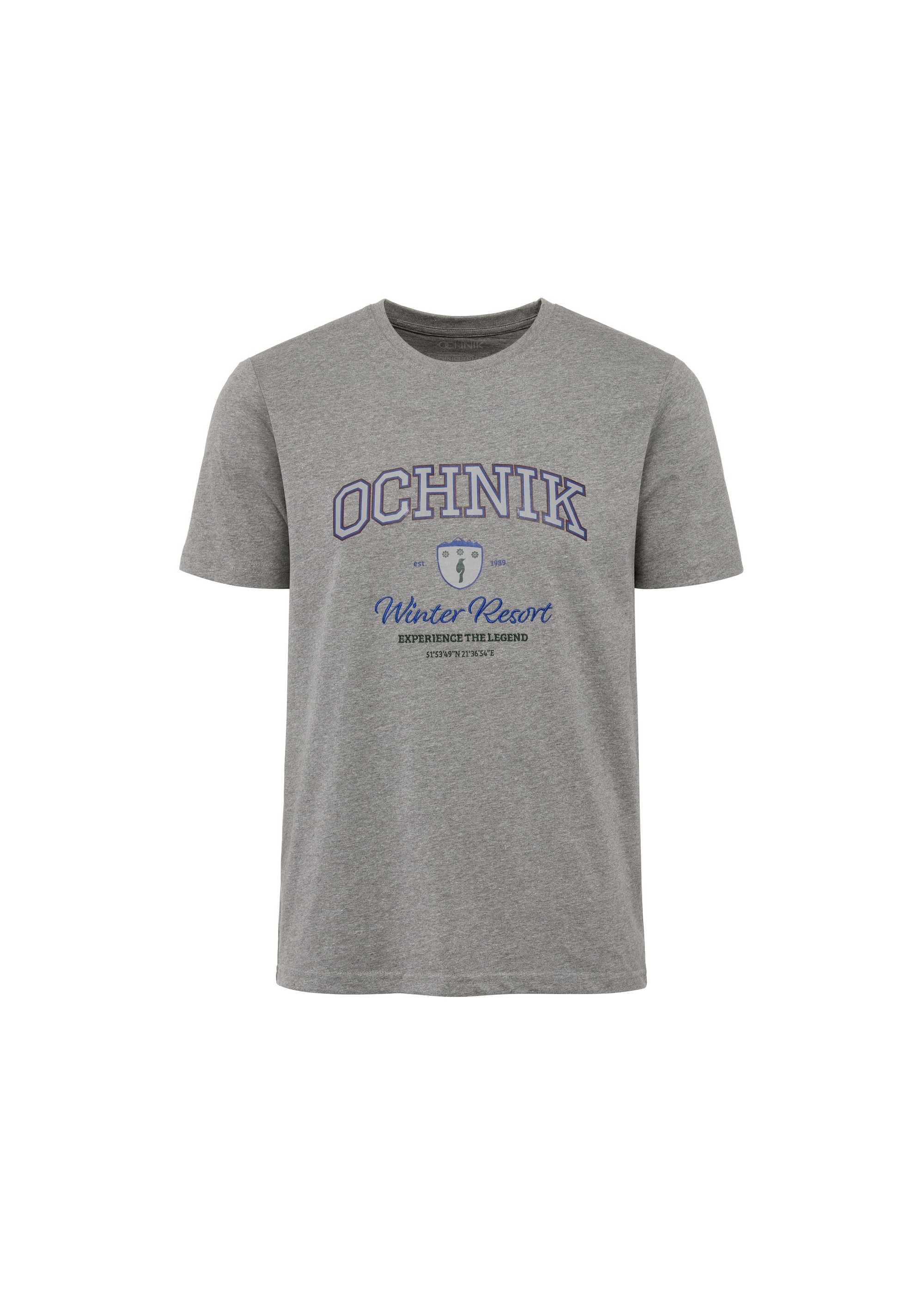 Gray men's t-shirt with print TSHMT-0111-91(Z24)-01