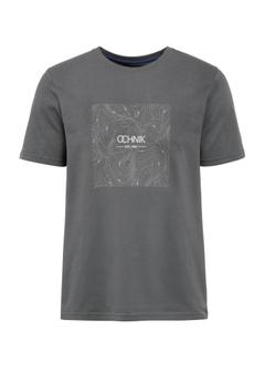 Gray men's T-shirt with print TSHMT-0127-96(W25)