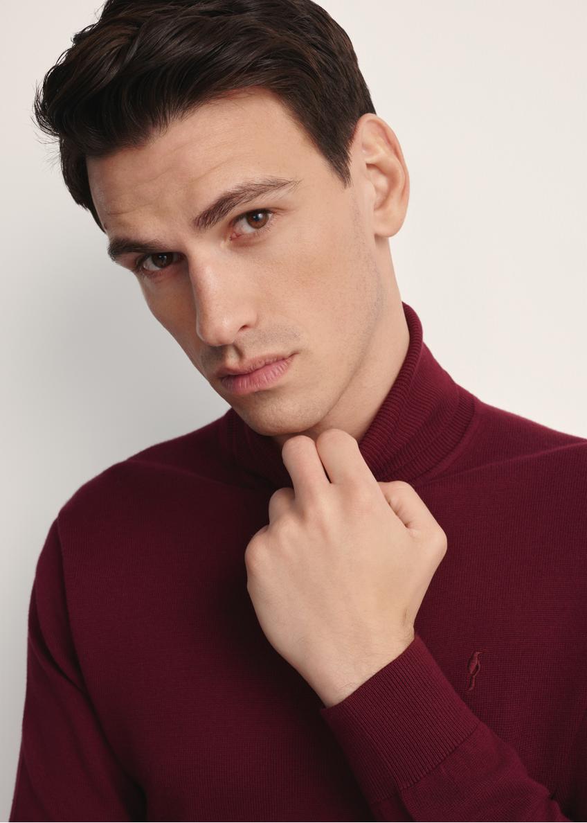 Maroon men's turtleneck sweater SWEMT-0095B-49(Z25)