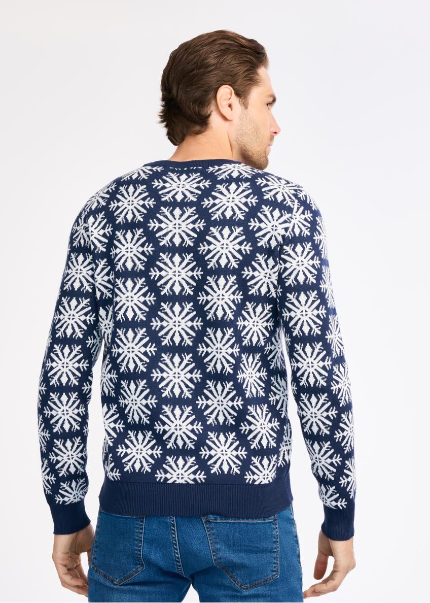 Men's Sweater SWEMT-0125-69(Z22)