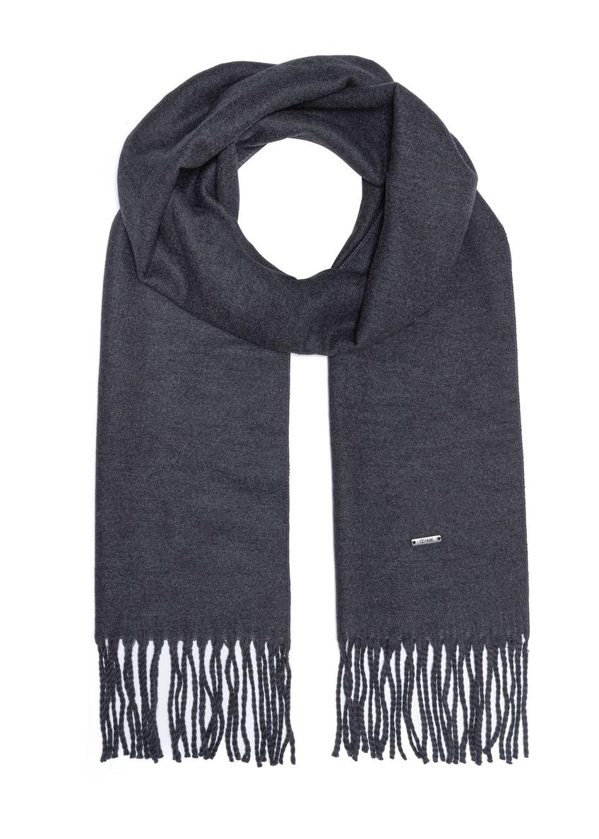 Graphite men's winter scarf SZAMT-0082-95(Z24)