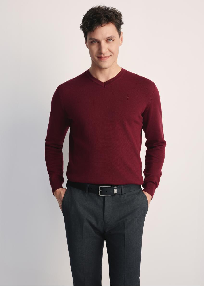 Burgundy men's sweater with logo SWEMT-0159A-49(Z25), front view of the product on the model. Half of the silhouette visible.