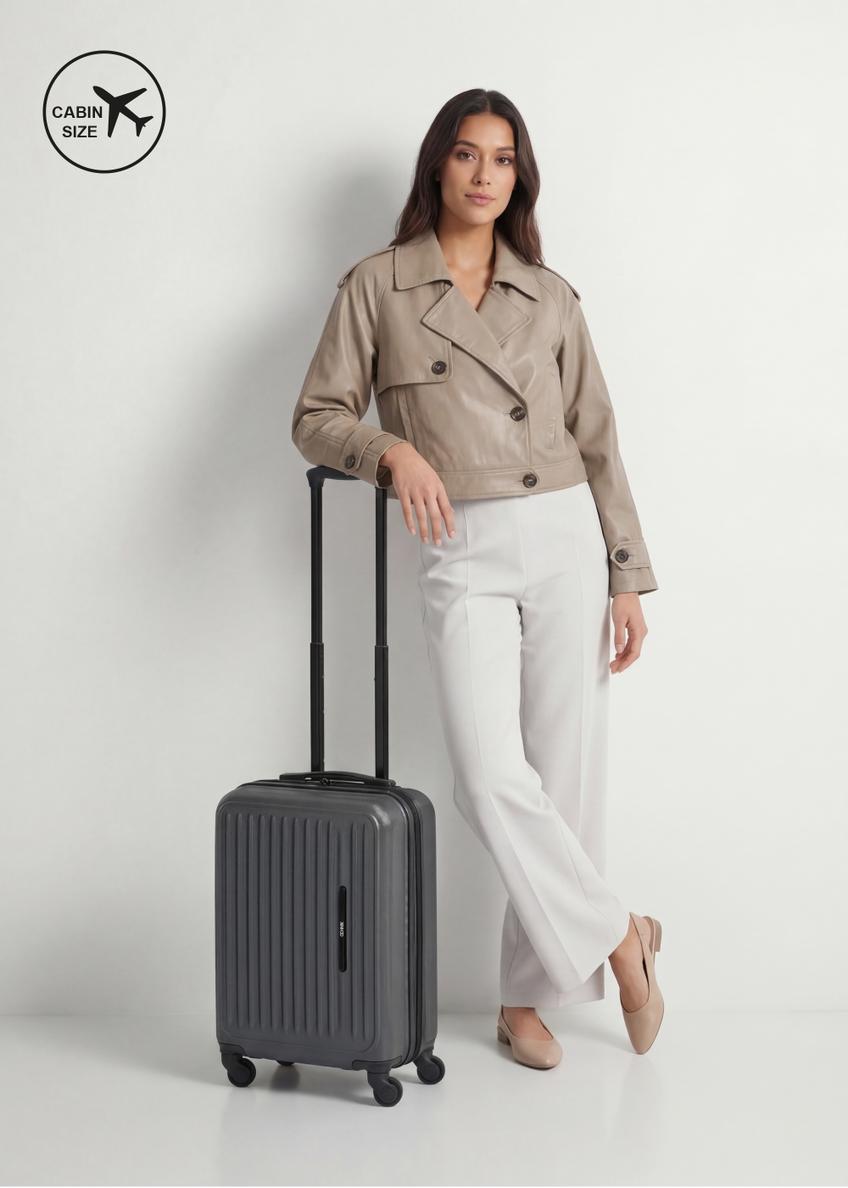 Cabin suitcase on wheels WALAB-0082-99-19(W26)