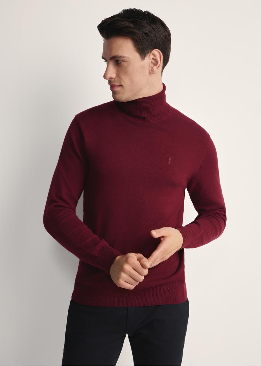 Burgundy men's turtleneck sweater SWEMT-0095B-49(Z25), front product view on the model. Half of the silhouette visible.