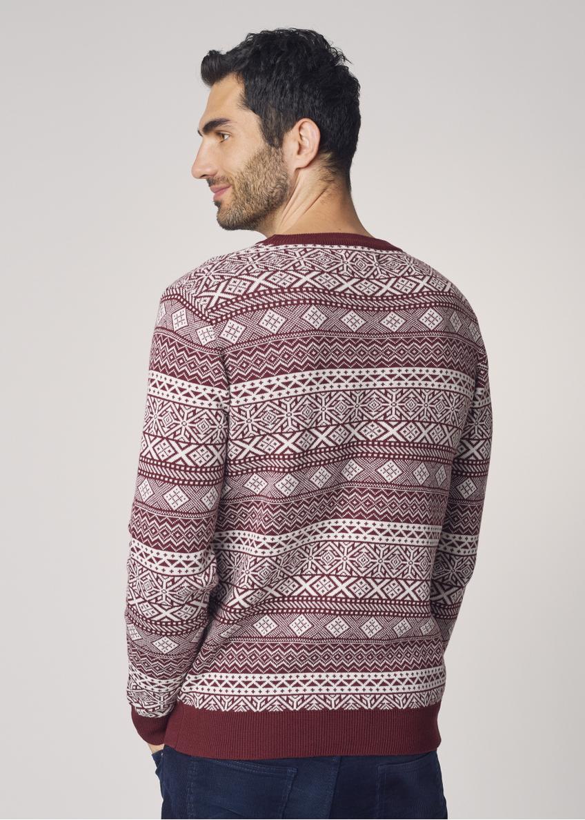 Men's Sweater SWEMT-0096-49(Z21)